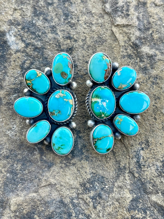 Sonoran Gold Half Cluster Earrings