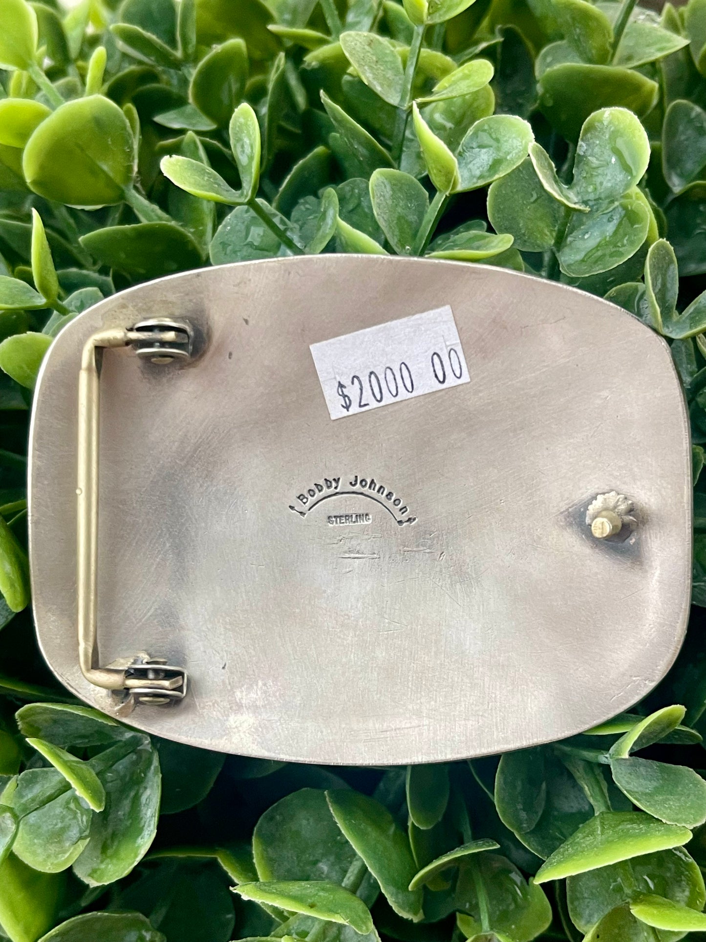 Golden Hills Gorgeous Buckle