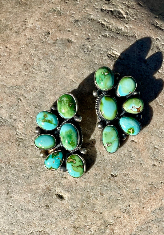 Sonoran Gold Half Cluster Earrings