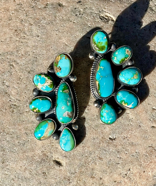 Sonoran Gold Half Cluster Earrings